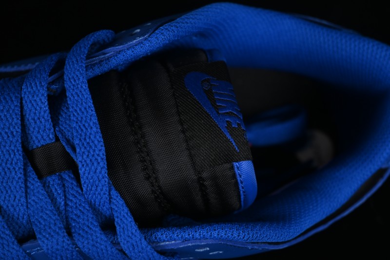 Nike SB Dunk Low Black Blue Colorway Low-Top Casual Skateboarding Shoes - CW1590-001